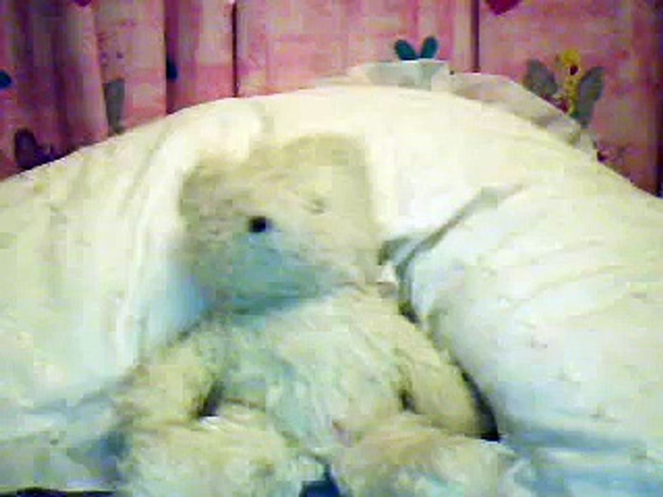 Re: Steve Irwin Death