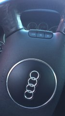 This is how horses cool off in Montana