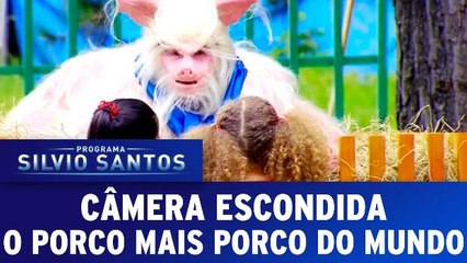 Câmera Escondida: O porco mais porco do mundo