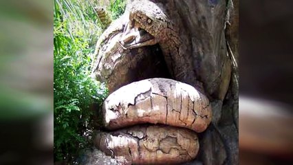 20 Mysterious Photos That Should Not Exist