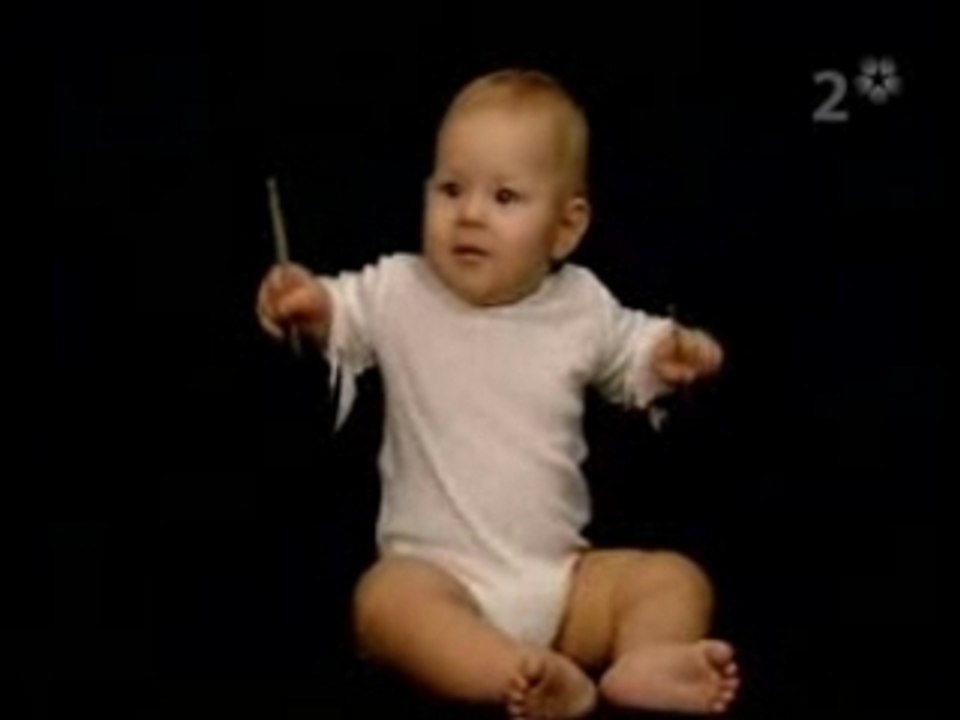 Baby Maestro