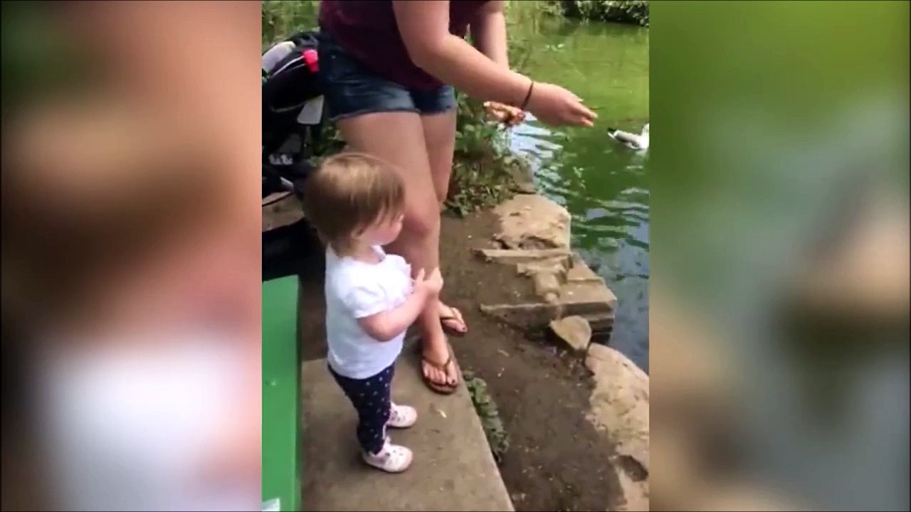 Cet enfant a une drole de façon de nourrir les canards... Ahahah