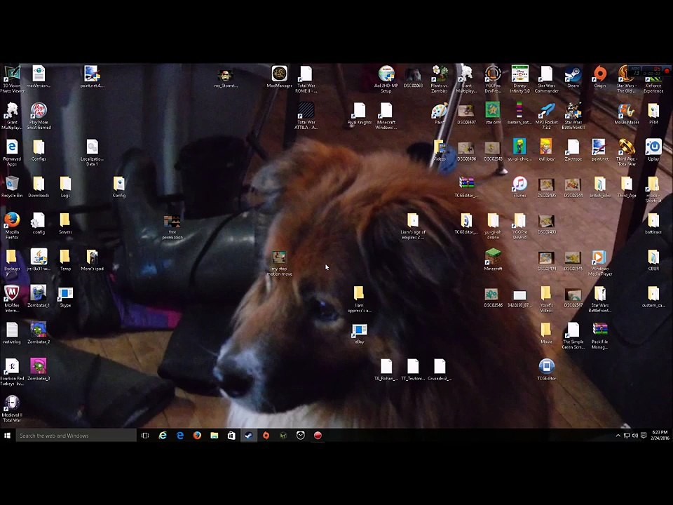 How to fix Rome Total War and Alexzander Total War After Windows 10