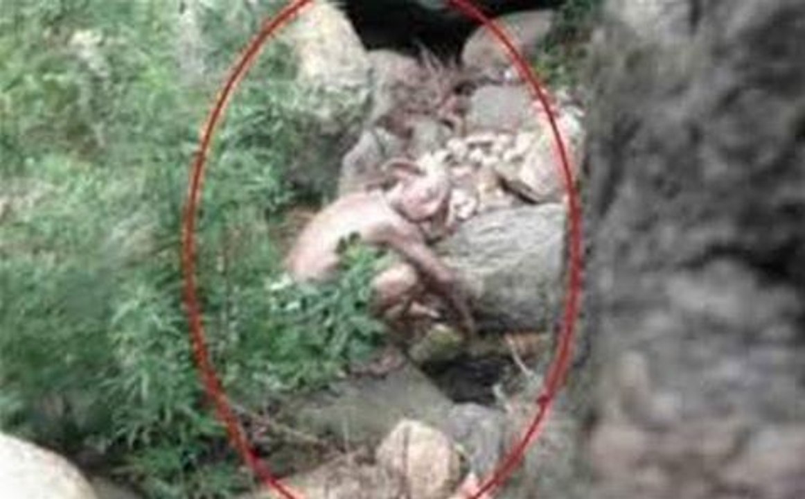 #10 أخطر 10 مشاهد لظهور الجن