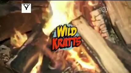Wild Kratts Masked Bandits 2014