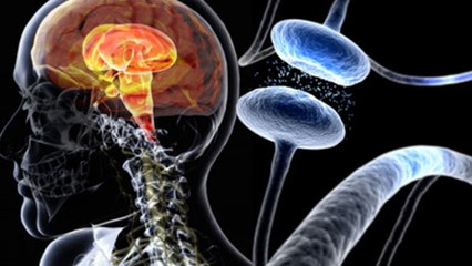 What Is Parkinson's Disease:  Symptoms, Treatments || Health lifestyle