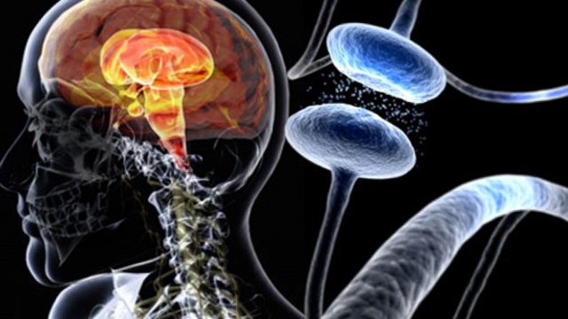What Is Parkinson's Disease: Symptoms, Treatments || Health lifestyle