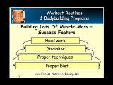 Building Lots Of Muscle Mass - Success Factors