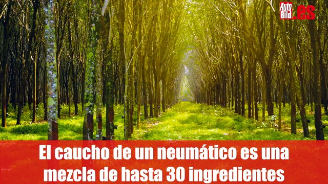 Así se fabrican los nuevos neumáticos Pirelli P Zero