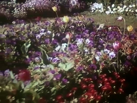 Kaliyon Ne Ghunghat Khole - Mohammad Rafi Hit Songs - Dharmendra Songs