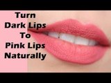Miracle Remedy to Lighten Dark Lips & Get Pink Lips Naturally I Naturally Lighten Dark lips to Pink lips in 1 week I How to Lighten Dark Lips Naturally - Rapid Home Remedies