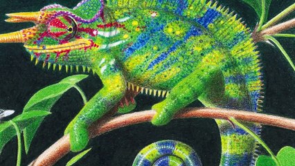 English ABC •  26 Animals Songs  • ABC Dino Xenegugeli