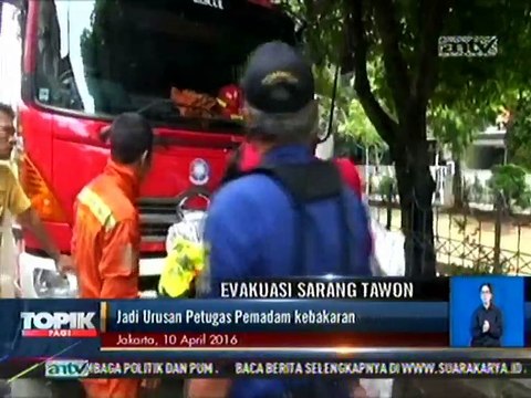 Evakuasi Sarang Tawon, Pemadam Kebakaran Turun Tangan