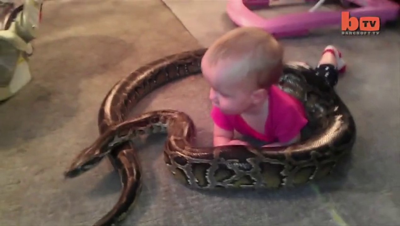 Baby Plays With ‘Beloved’ Pet Python