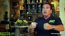 Bodybuilding com Arnold Schwarzenegger Blueprint Trainer Mass Training Overview