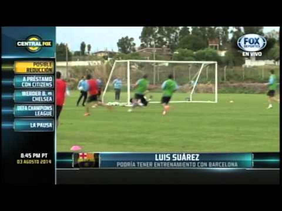 La lucha por Suárez