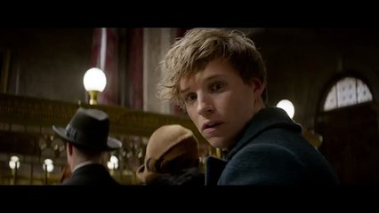 Fantastic Beasts and Where to Find Them - Teaser Trailer [HD]