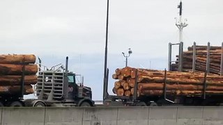 Loading Astoria Bay, Port Angeles Harbor, April 24, 2012