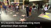 Trump's Hollywood Star Vandalised