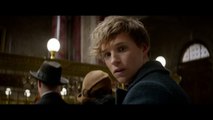 Fantastic Beasts and Where to Find Them | official trailer #2 (2016) Harry Potter