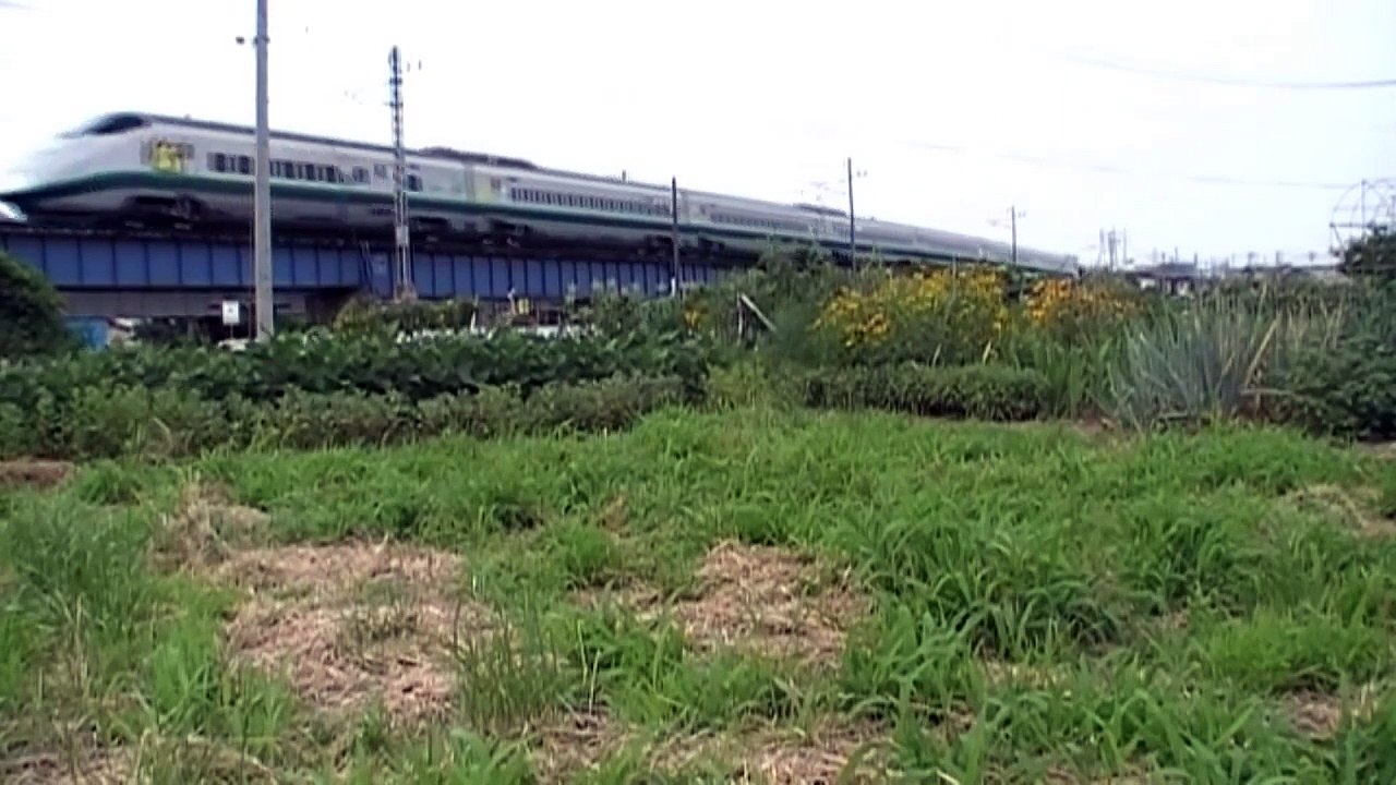 Le shinkansen de l'est japonais