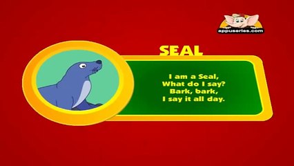 Animal Sounds in Hindi - Seal