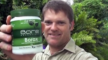 Use This Borax Recipe To Kill Of Ants This Summer