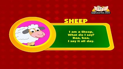 Animal Sounds in Hindi - Sheep