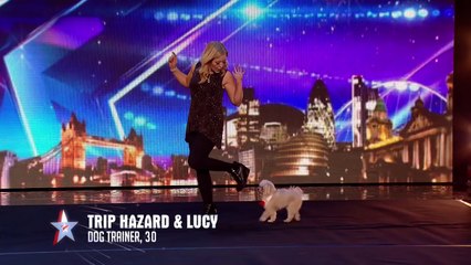 Dancing dog Trip Hazard has all the right moves  - Week 1 Auditions - Britain’s Got Talent 2016