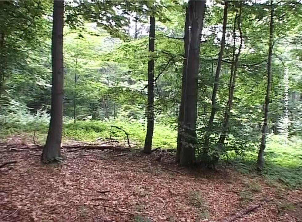 Nacionalni dan zaštite prirode, 11. april 2016. (RTV Bor)