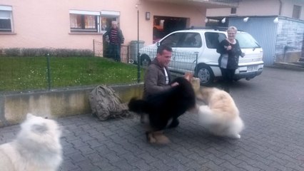 Royaume des Terres gelées - Retour de papa