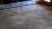 Hawkeye Custom concrete Living Room Stained Concrete overlay