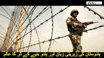 India's Bad language about Pakistan and five-layer lock along Pakistan 29000 Km border to prevent- Kitna Derta hay Sala-- Latest News