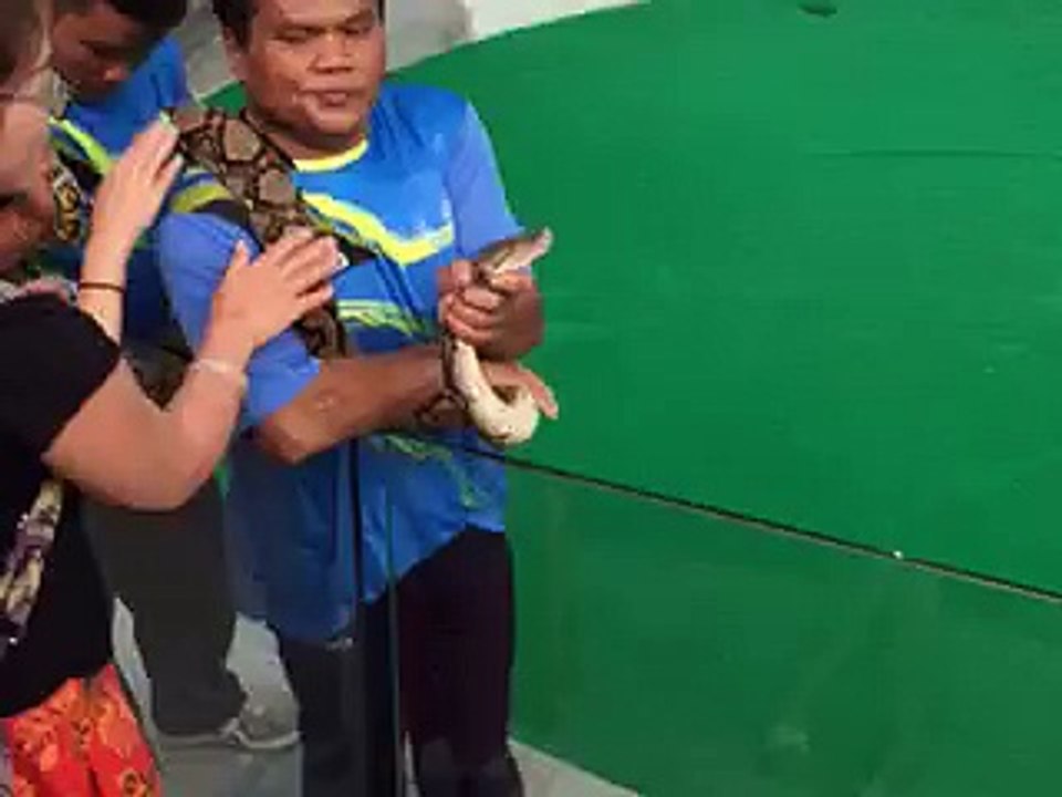 Funny Video