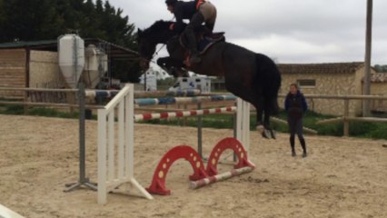 Hongre 10 ans gros moyens QUASIMODO Z X ENRICO