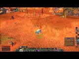 Feral Druid VS Arms Warrior World of Warcraft  Cataclysm
