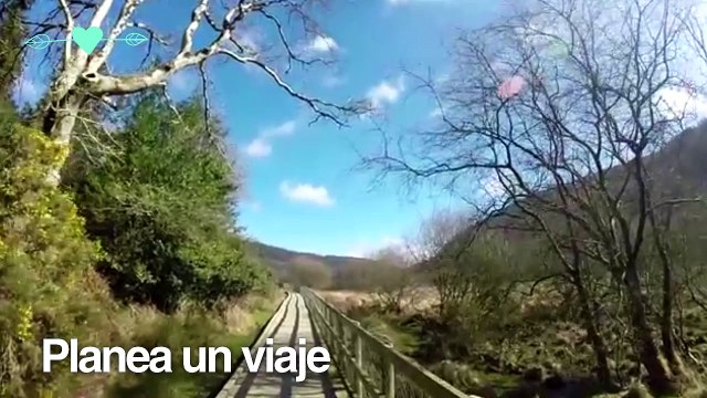 10 ideas divertidas para combatir el lunes