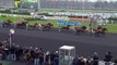 Prix de Belgique 2013 - Vincennes Paris - Winner Yarrah Boko