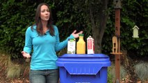 Cartons vs Plastic Containers