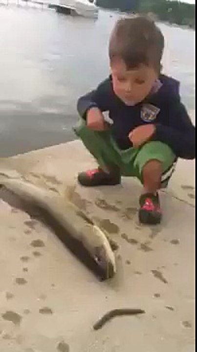 funny Video
