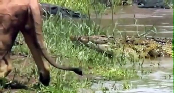 Ты че на Царя прешь シ