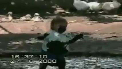 America's Funniest Home Videos part 83 _ OrangeCabinet