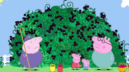 Peppa Pig - The Blackberry Bush (Clip) (2)