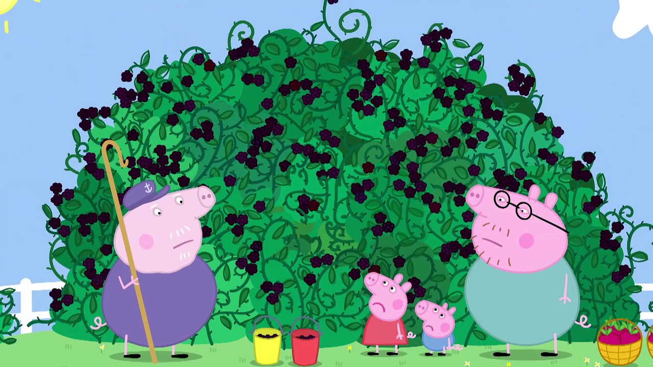 Peppa Pig - The Blackberry Bush (Clip)