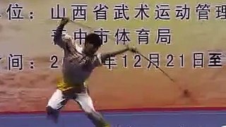 2011年全国武术套路精英赛_M2_02-003_男子枪术