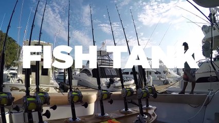 Fish Tank Sport Fishing Prepares for Triple Crown Tournament