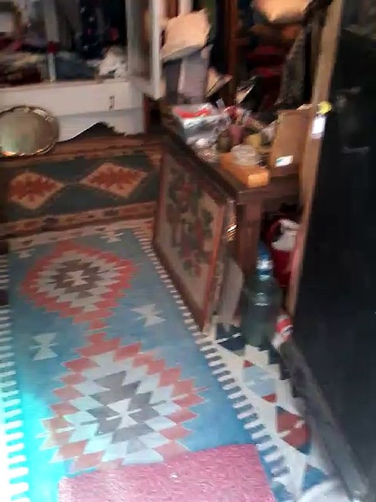 İstanbul-İzmir-Ayvalık Profesyonel Kokartlı Turist Rehberi Geziyor ve Anlatıyor-Ayvalık Tavanarasi Eskici