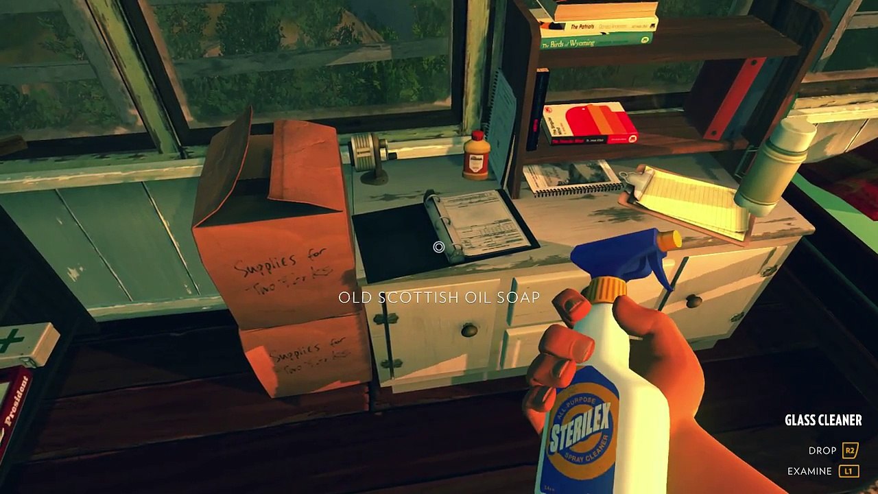 Firewatch: Walkthrough #3 Day 2 - Comms Lines Are Down?