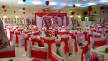 Strawberry ShortCake Theme Decorations - Specialized for Balloon & Birthday Decorations