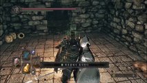 DARK SOULS II : SOTFS - Huntsman's Copse  item under bridge